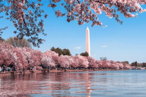 Washington DC location image